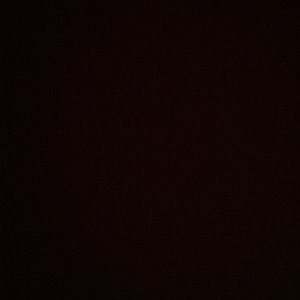 Meet your Posher, Michayla